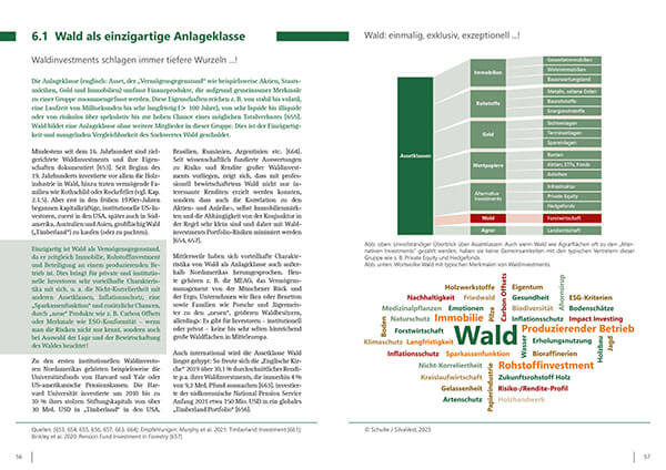 Wald-Investment Kapitel 6.1